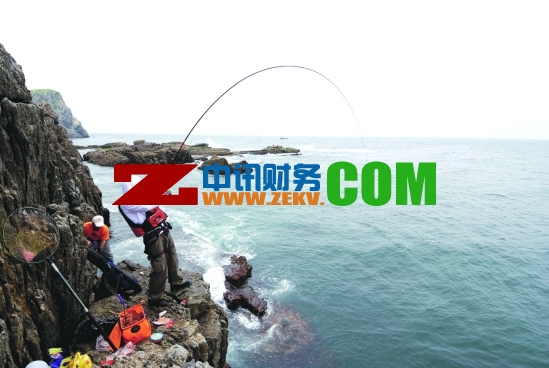 百都會計有限公司旅游計劃